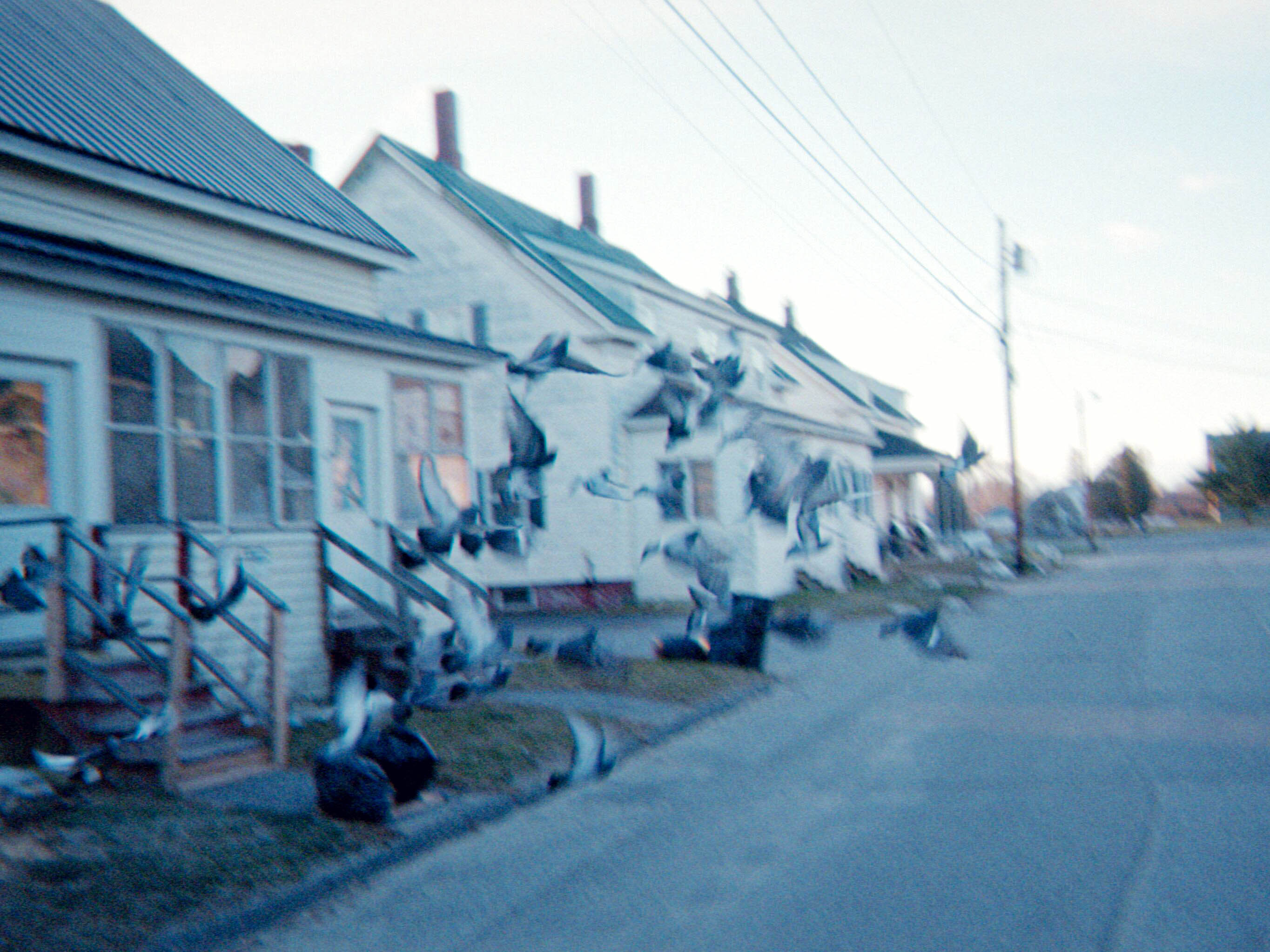 A row of houses along a sunlit residential street.