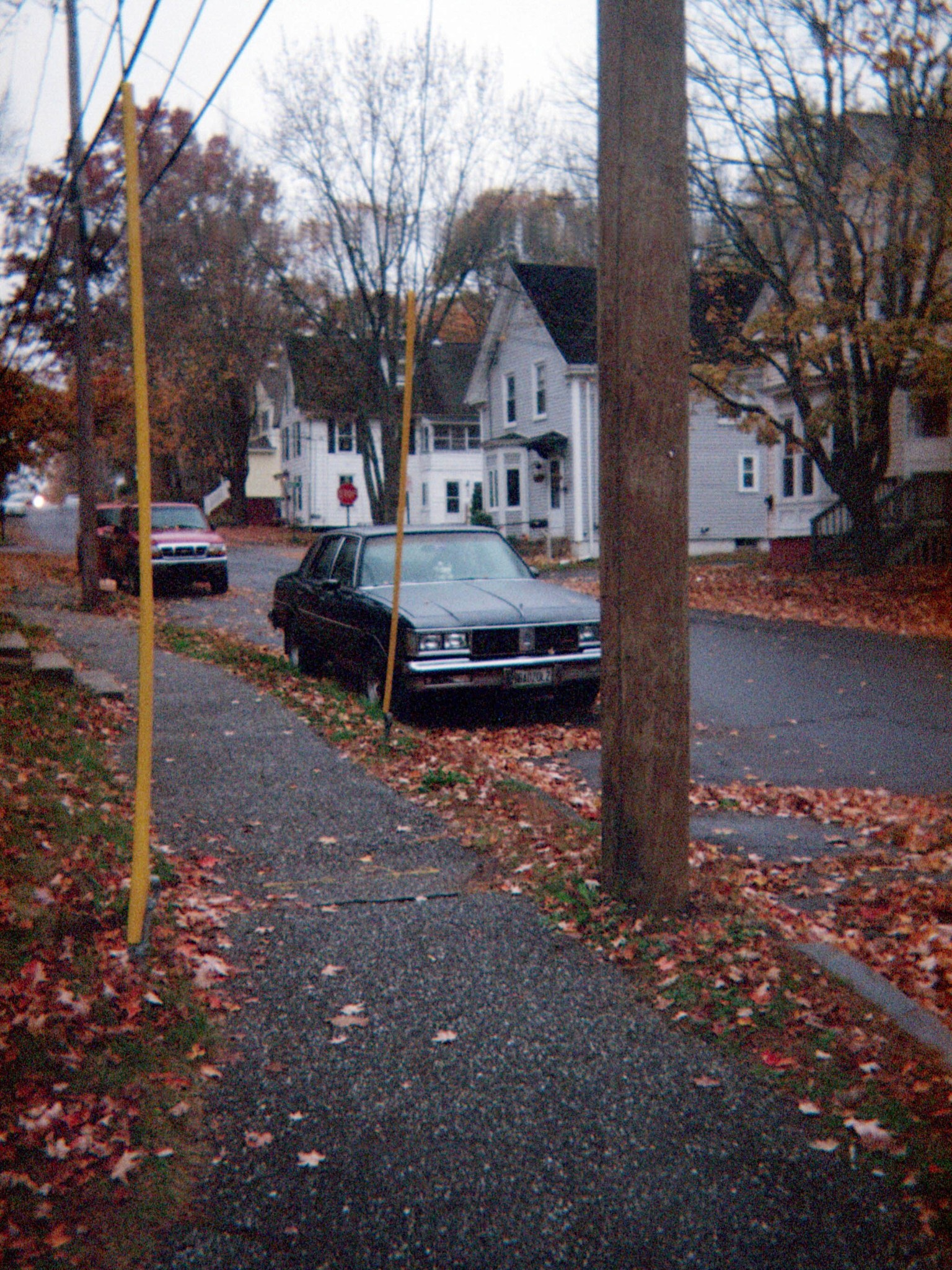 A parked car, bare branches, and fallen leaves on a residential street.